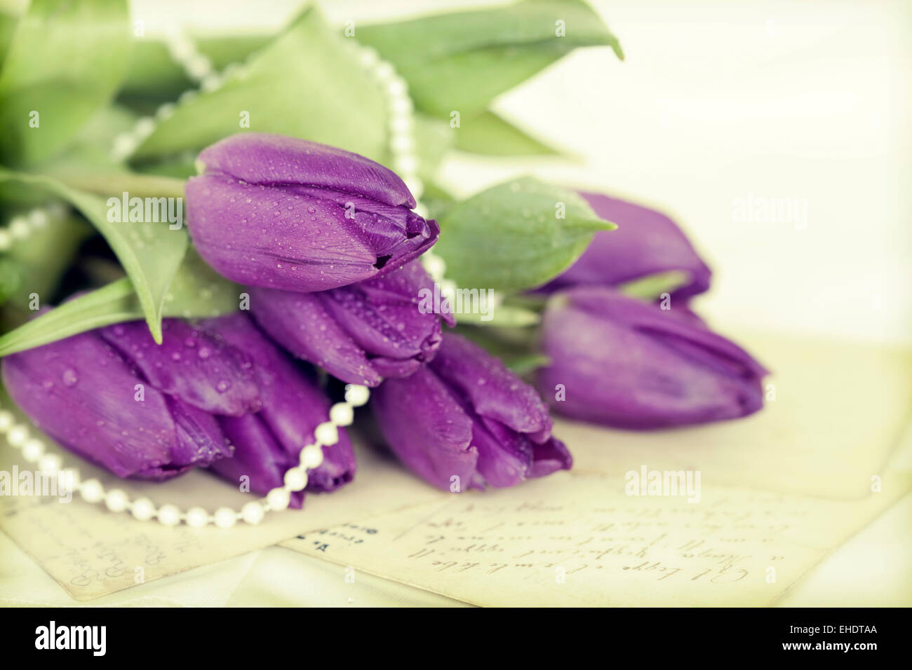Old love letters and purple tulips. Retro style toned picture Stock Photo