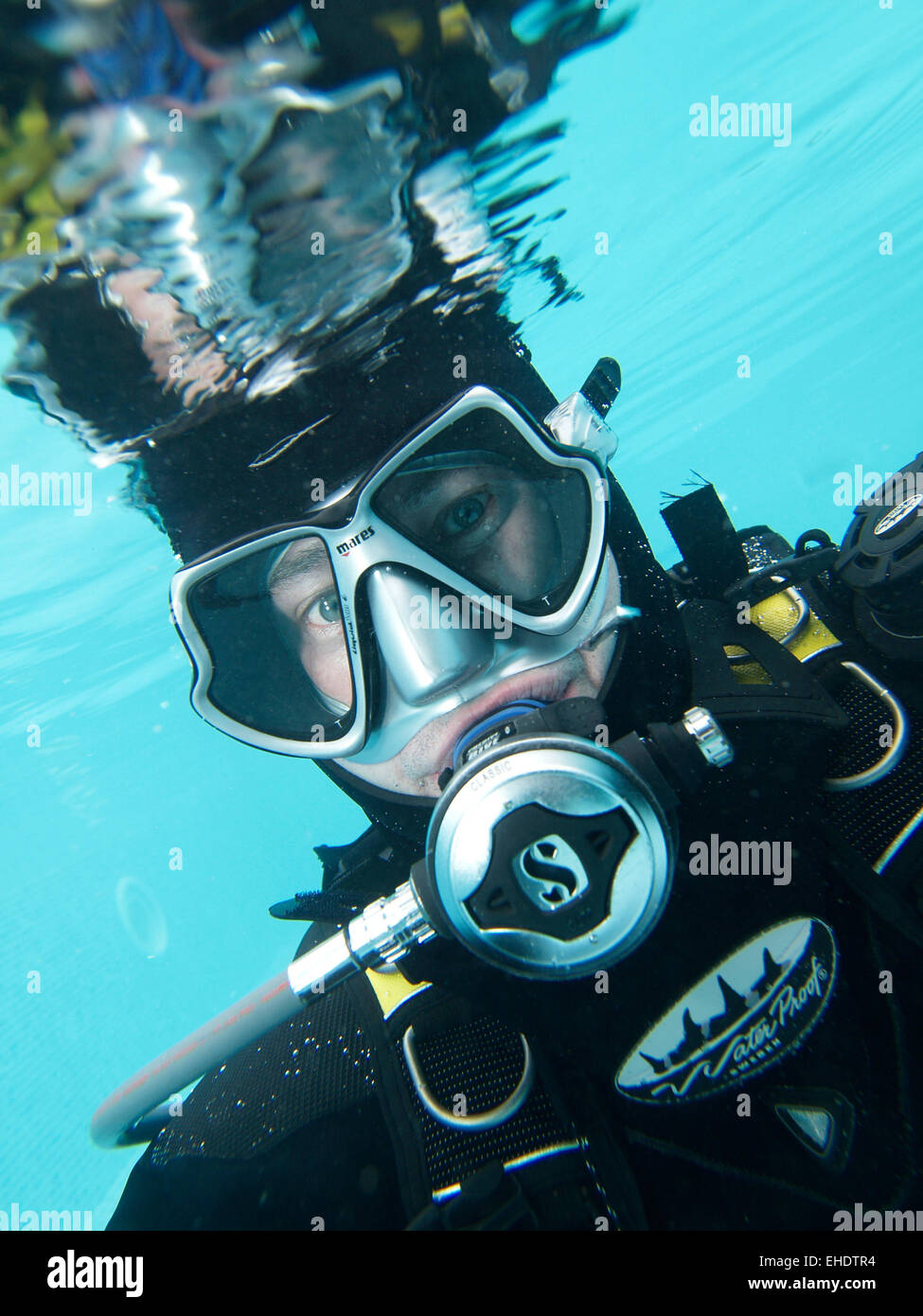 Diver in shallow water Stock Photo Alamy