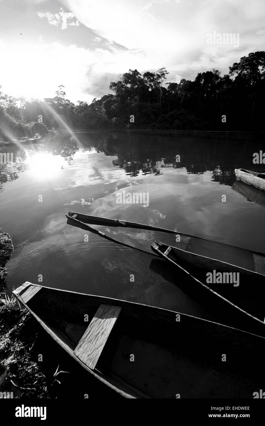 Canoes in Galvez River. Amazonas. Amazon forest. Peru Stock Photo Alamy