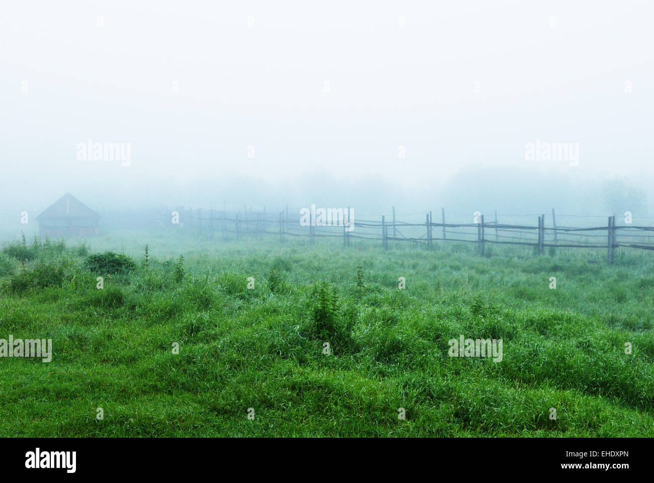 Mist in village Stock Photo Alamy