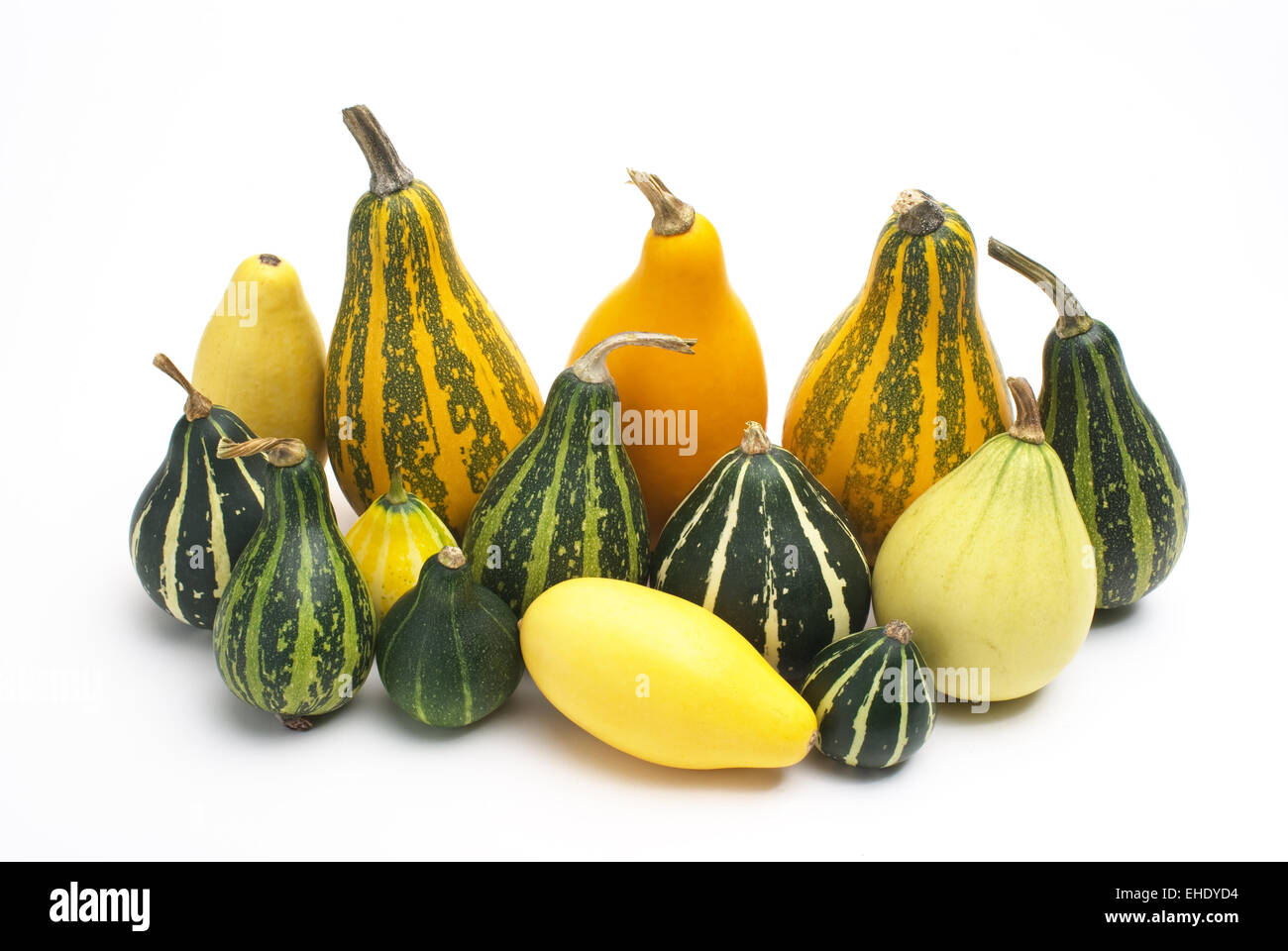 Group of small pumpkin Stock Photo