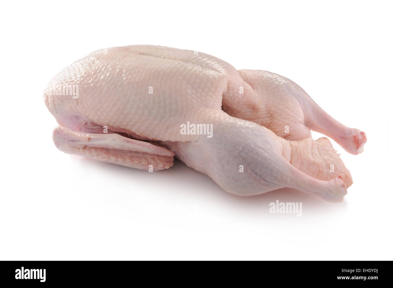 duck ready to cook Stock Photo - Alamy