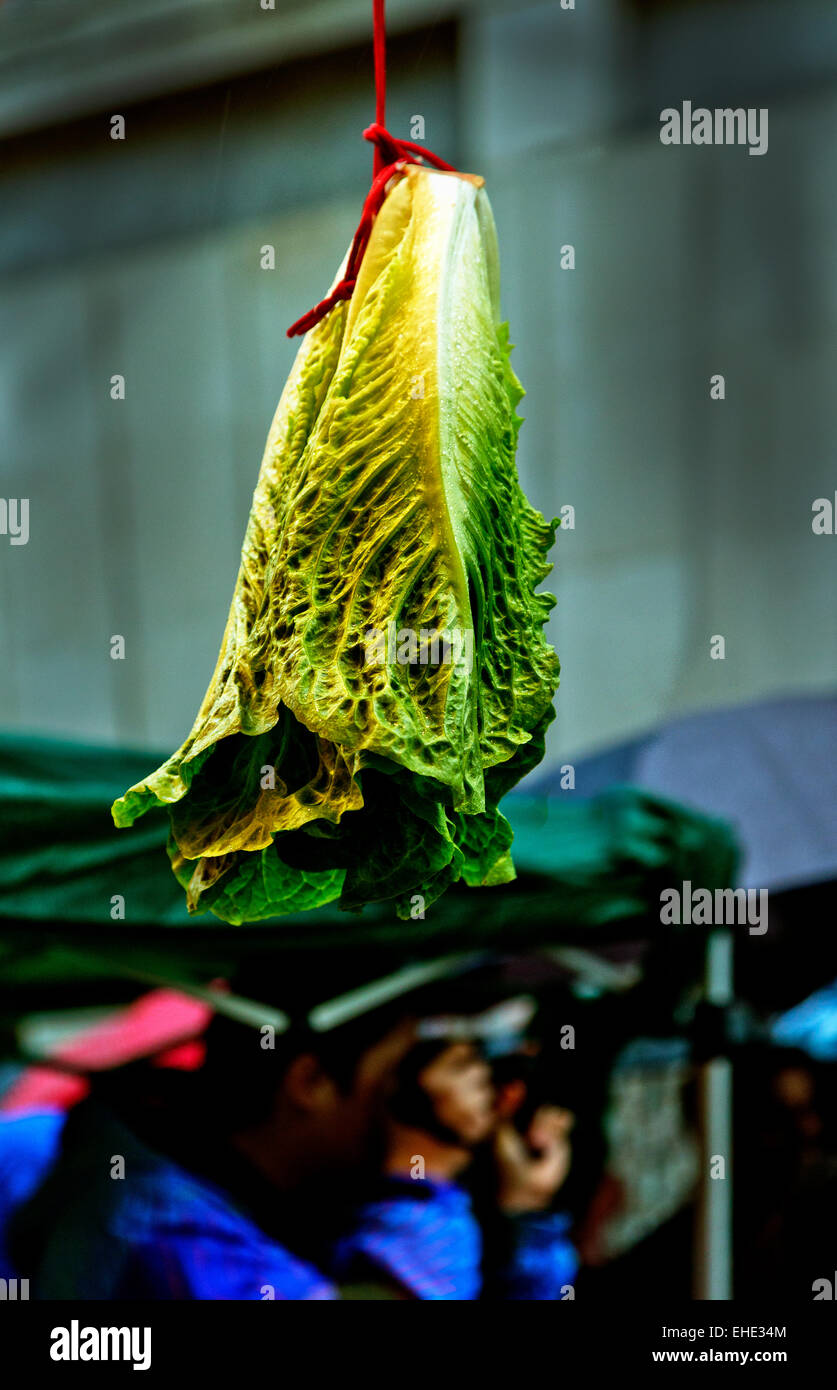 Chinese new year windows hi-res stock photography and images - Alamy