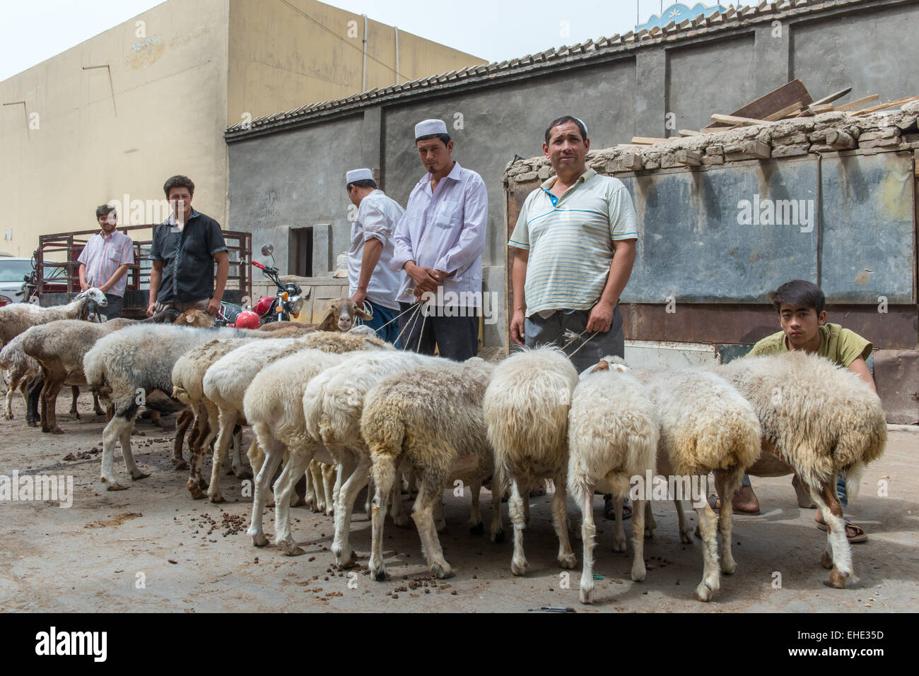 Men Selling Sheep, Hotan, Sunday Bazaar Stock Photo Alamy