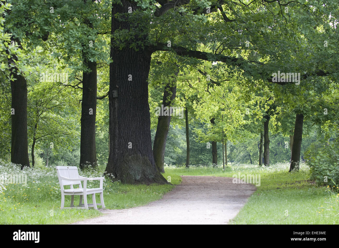 Bench in a park Stock Photo - Alamy