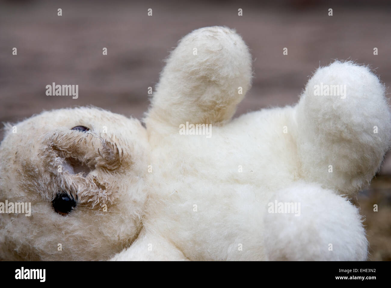 Altes Kuscheltier - Old Cuddly Toy Stock Photo