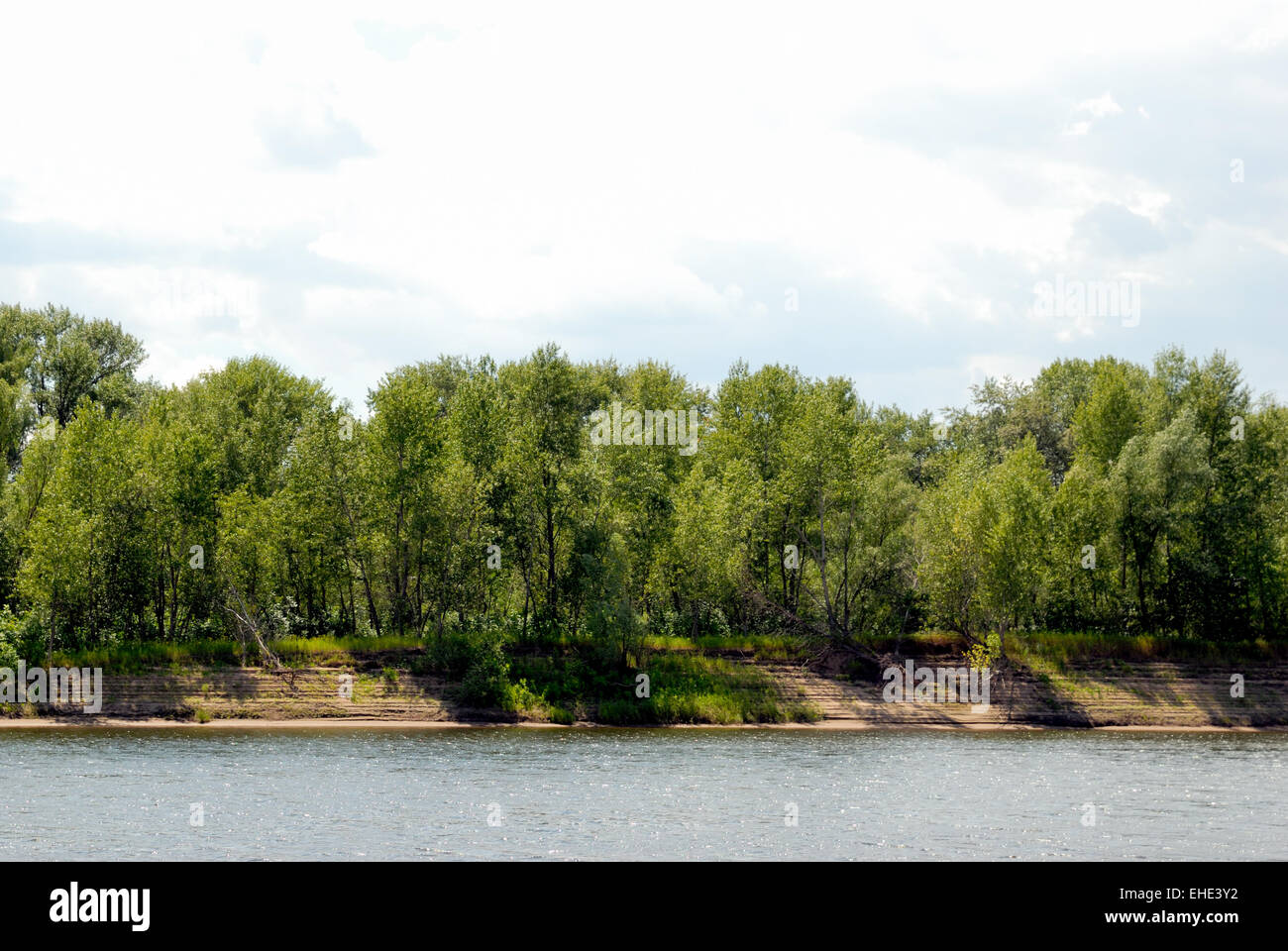 Wood on river coast Stock Photo