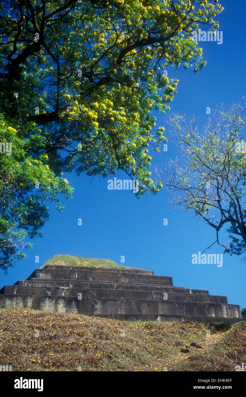Main pyramid at the Mayan ruins of El Tazumal or or Ruinas de Tazumal in El Salvador, Central America Stock Photo