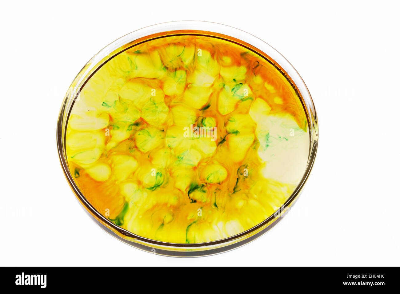 Petri dish experiment Stock Photo Alamy