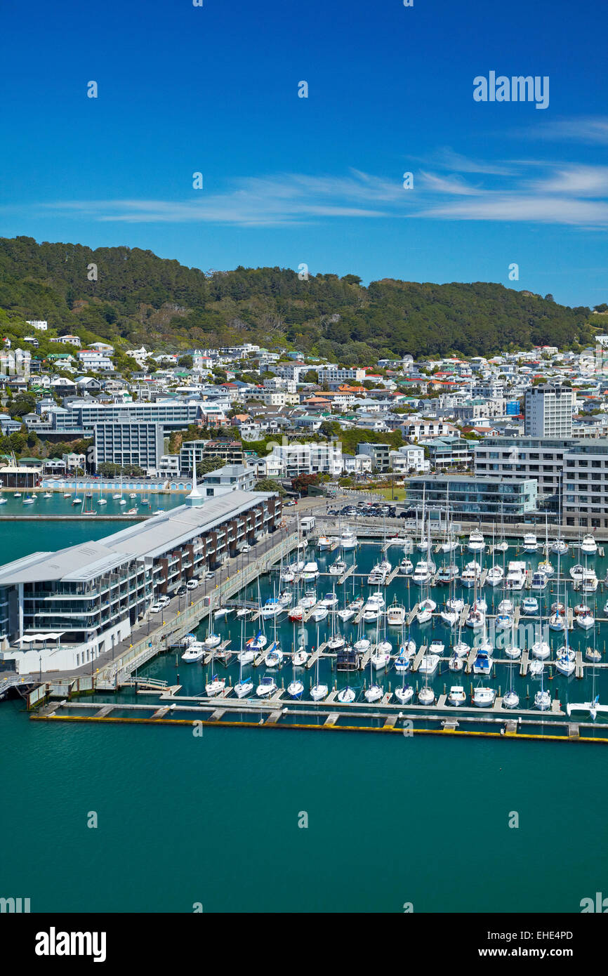 Chaffers Marina, and Clyde Quay Wharf luxury apartments, Wellington