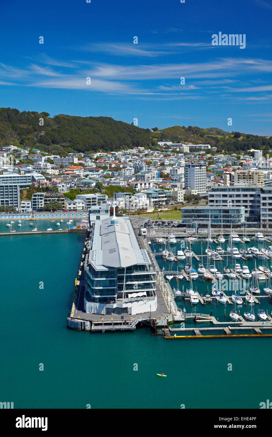Chaffers Marina, and Clyde Quay Wharf luxury apartments, Wellington Harbour, Wellington, North
