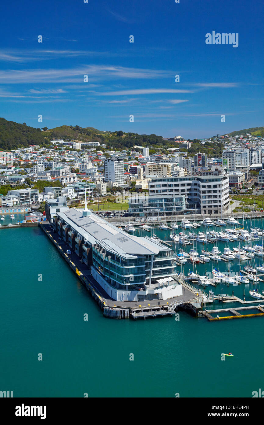 Chaffers Marina, and Clyde Quay Wharf luxury apartments, Wellington Harbour, Wellington, North Island, New Zealand - aerial Stock Photo