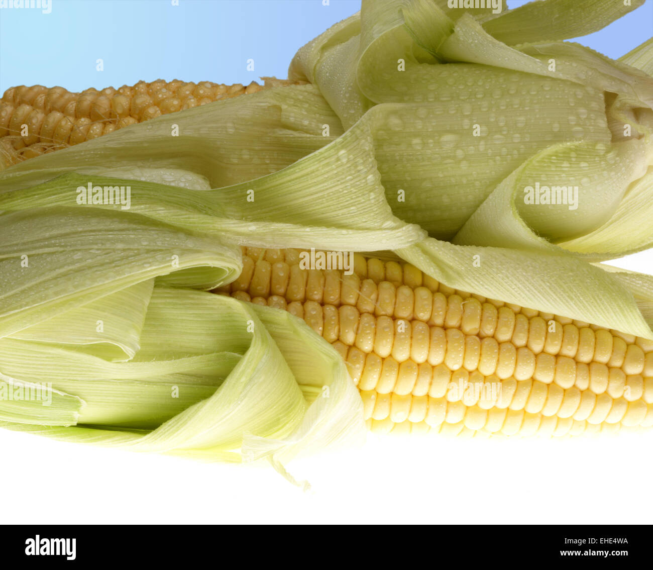 Where Does Ethanol Come From