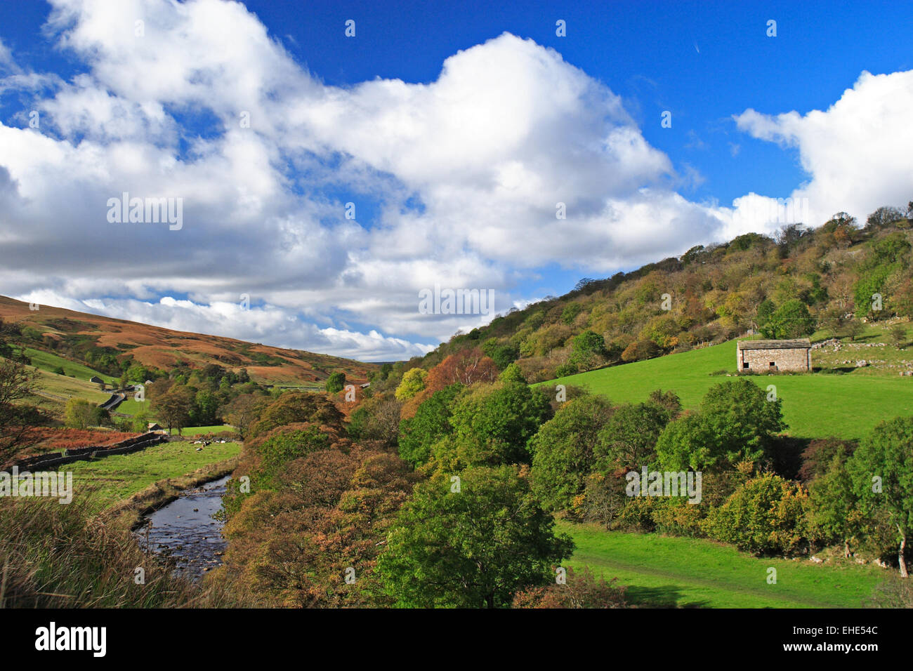 Autumn colour along the River Wharfe in Langstrothdale plus stone barn / Yorks Dales NP / Yorkshire / UK Stock Photo