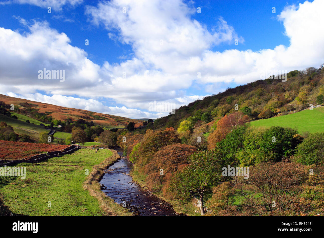 Autumn colour along the River Wharfe in Langstrothdale / Yorks Dales NP / Yorkshire / UK Stock Photo