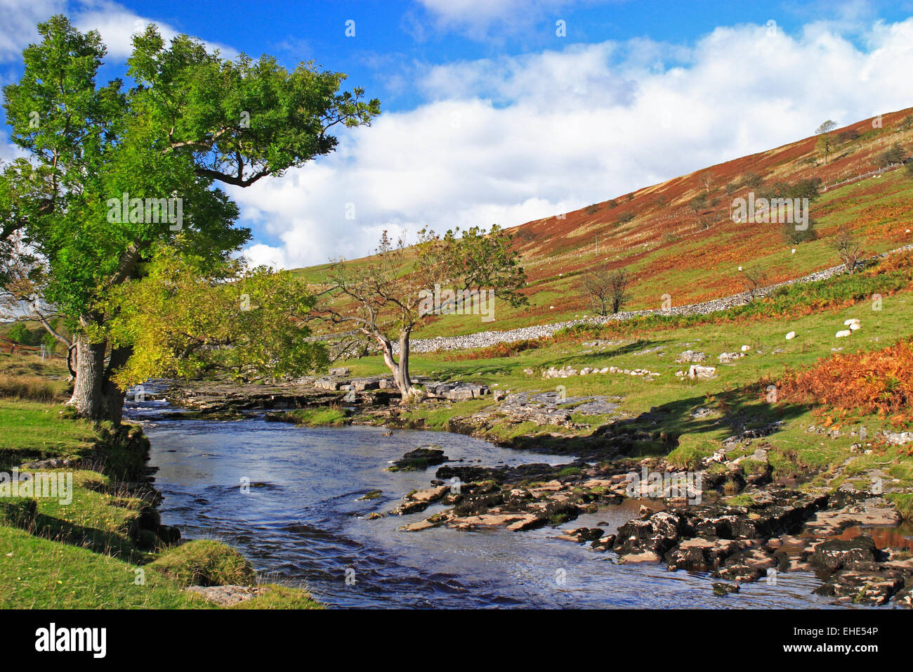 The infant River Wharfe in Langstrothdale / Yorks Dales NP / Yorkshire / UK Stock Photo