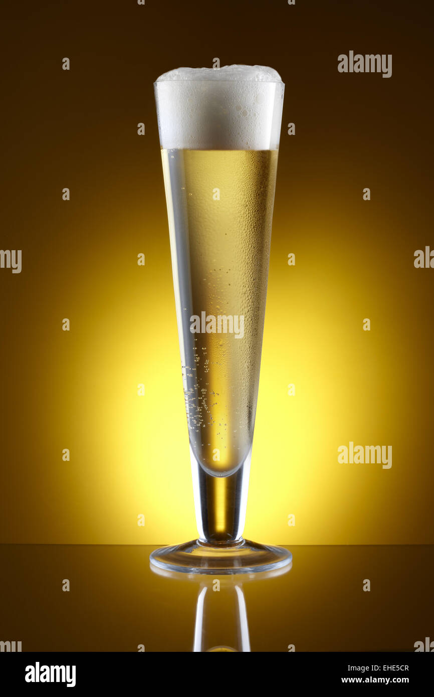 Tall Glass Of Beer Stock Photo Alamy tall-glass-of-beer-stock-photo-alamy