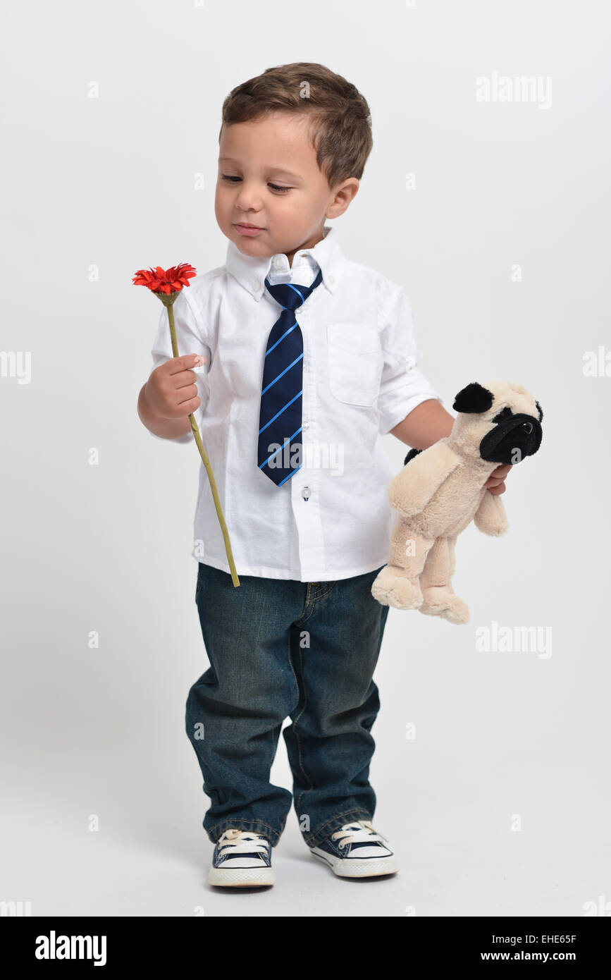 Two year old cute boy holding a flower and a stuffed animal posing isolated in a white background. Stock Photo