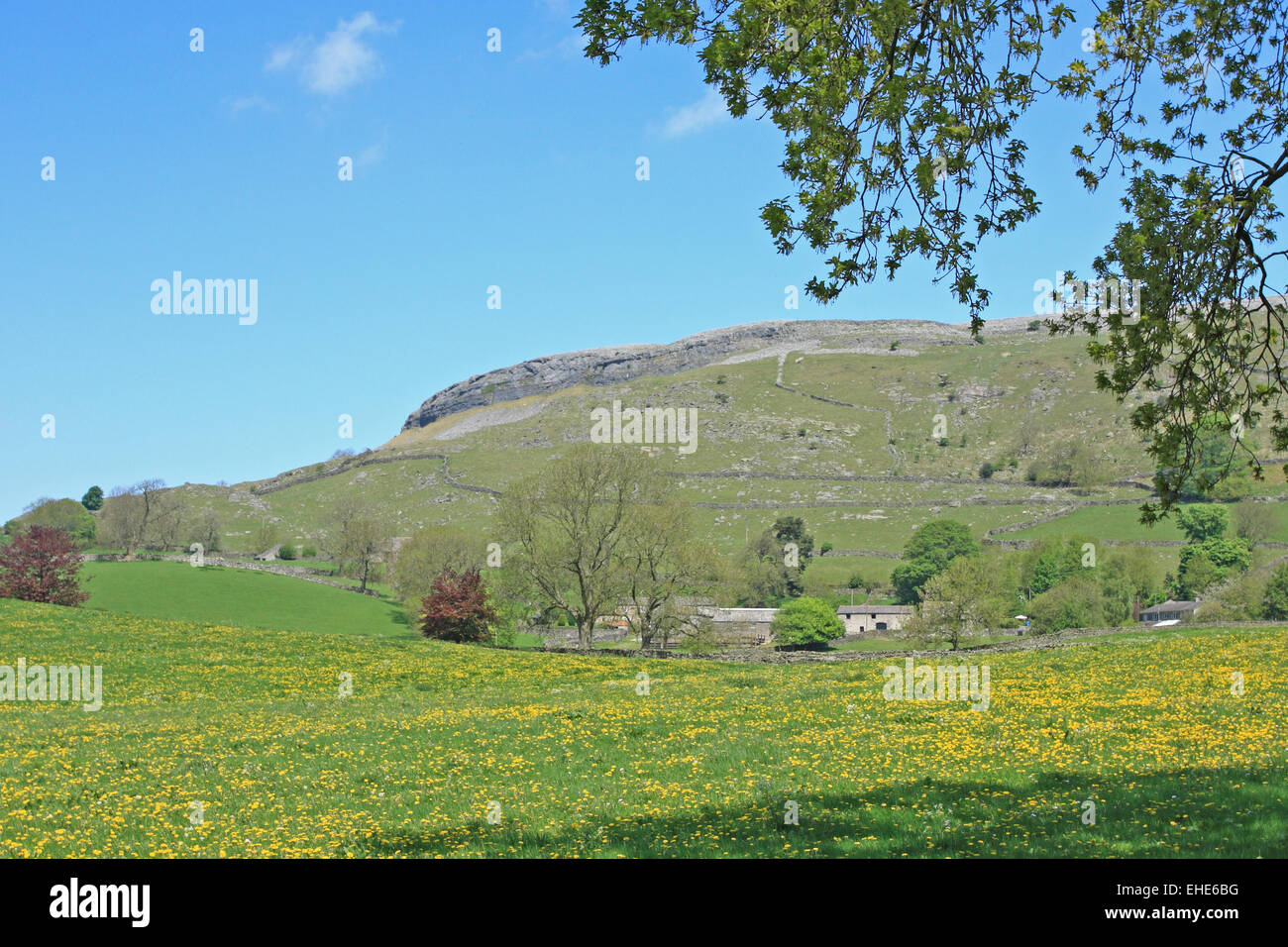 Below the limestone scar of White Stone the farming hamlet of Wharfe near Austwick can't be reached by public road / Yorks Dales Stock Photo