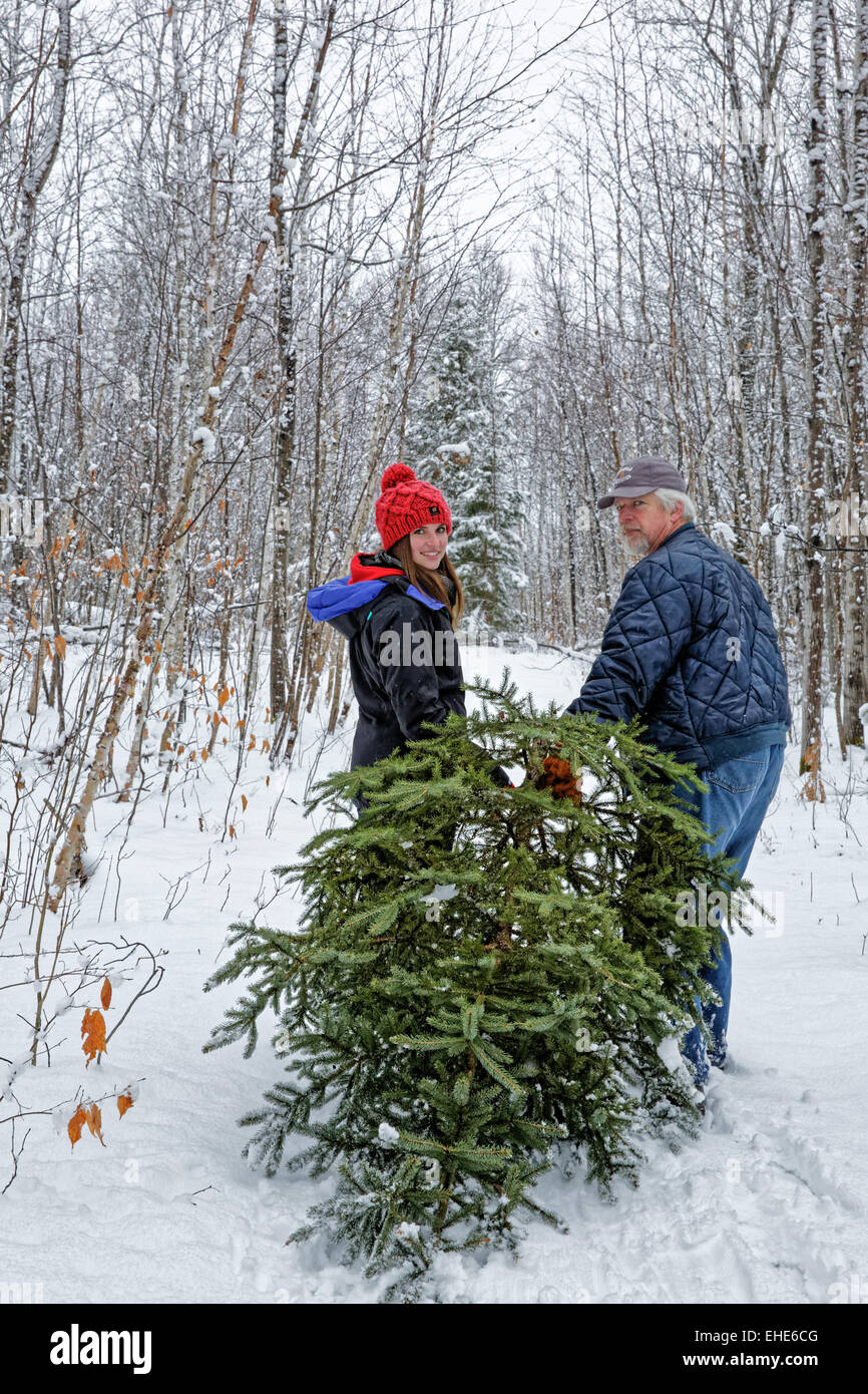 Dragging Christmas Tree High Resolution Stock Photography and Images ...