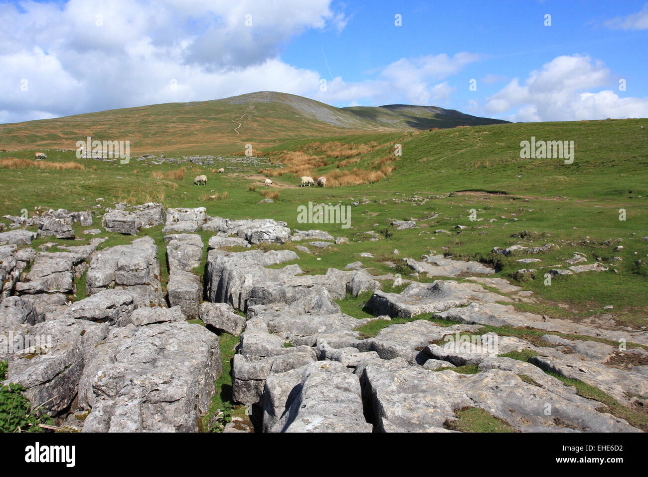 Limestone pavement on the slopes of Ingleborough / Yorks Dales NP / Yorkshire / UK Stock Photo