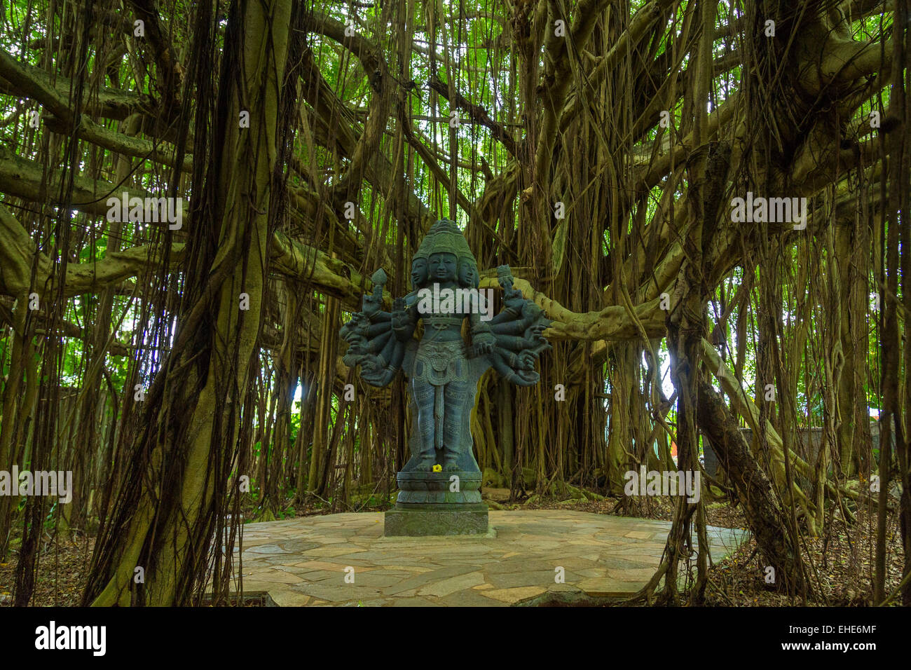 Lord Murugan under the grand banyan tree at Kadavul Temple, Kauai Hindu