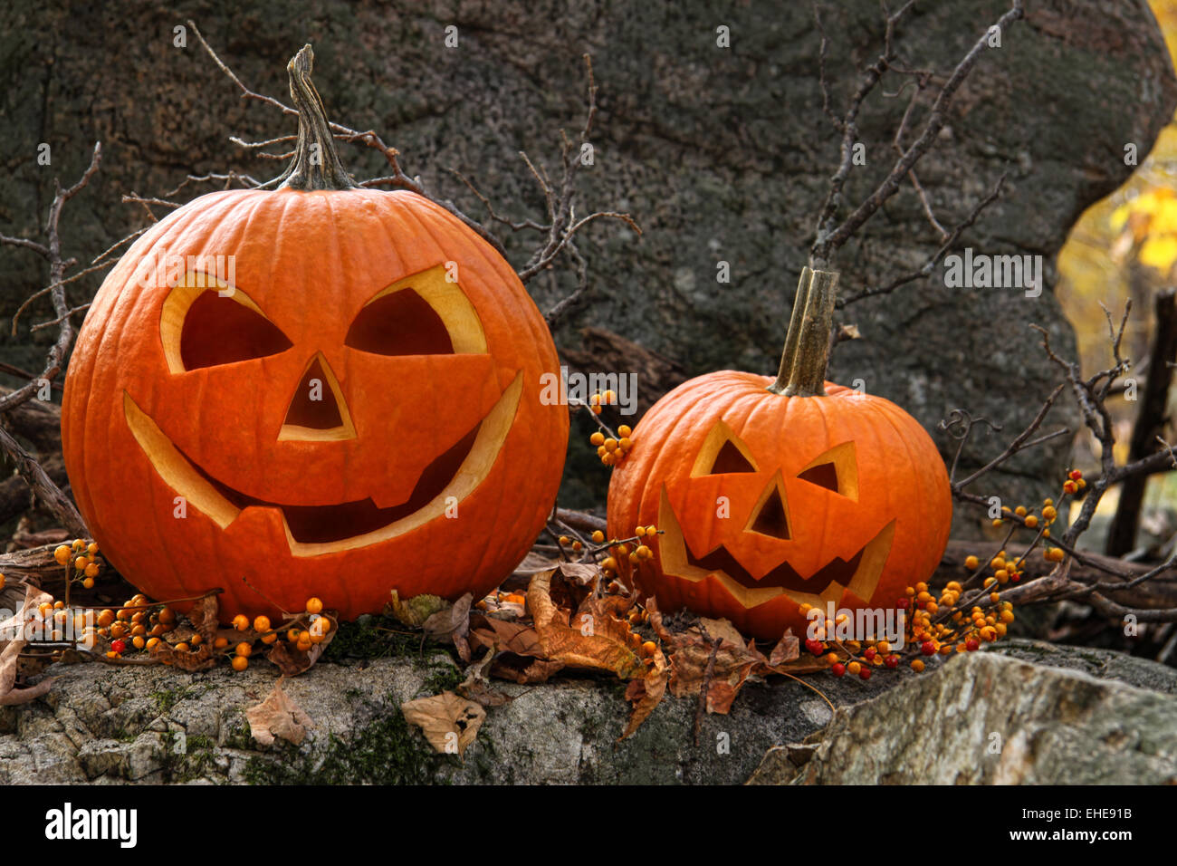 Halloween pumpkins on rocks in forest Stock Photo - Alamy