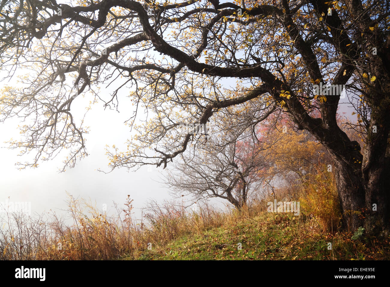 Autumn in mountains Stock Photo - Alamy