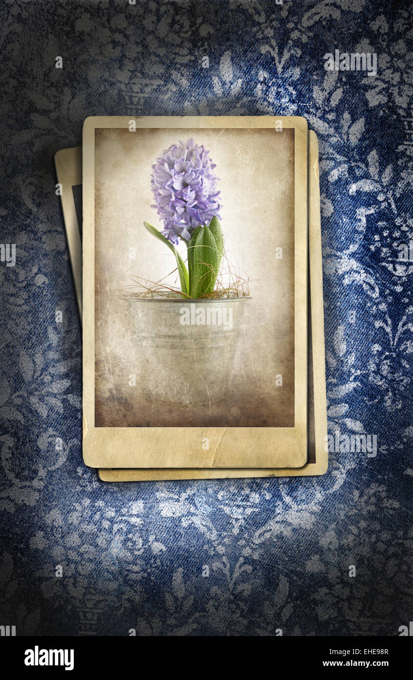 Grungy denim with faded floral effect Stock Photo