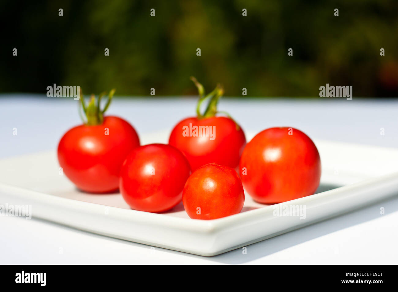 Tomaten, tomatoes Stock Photo