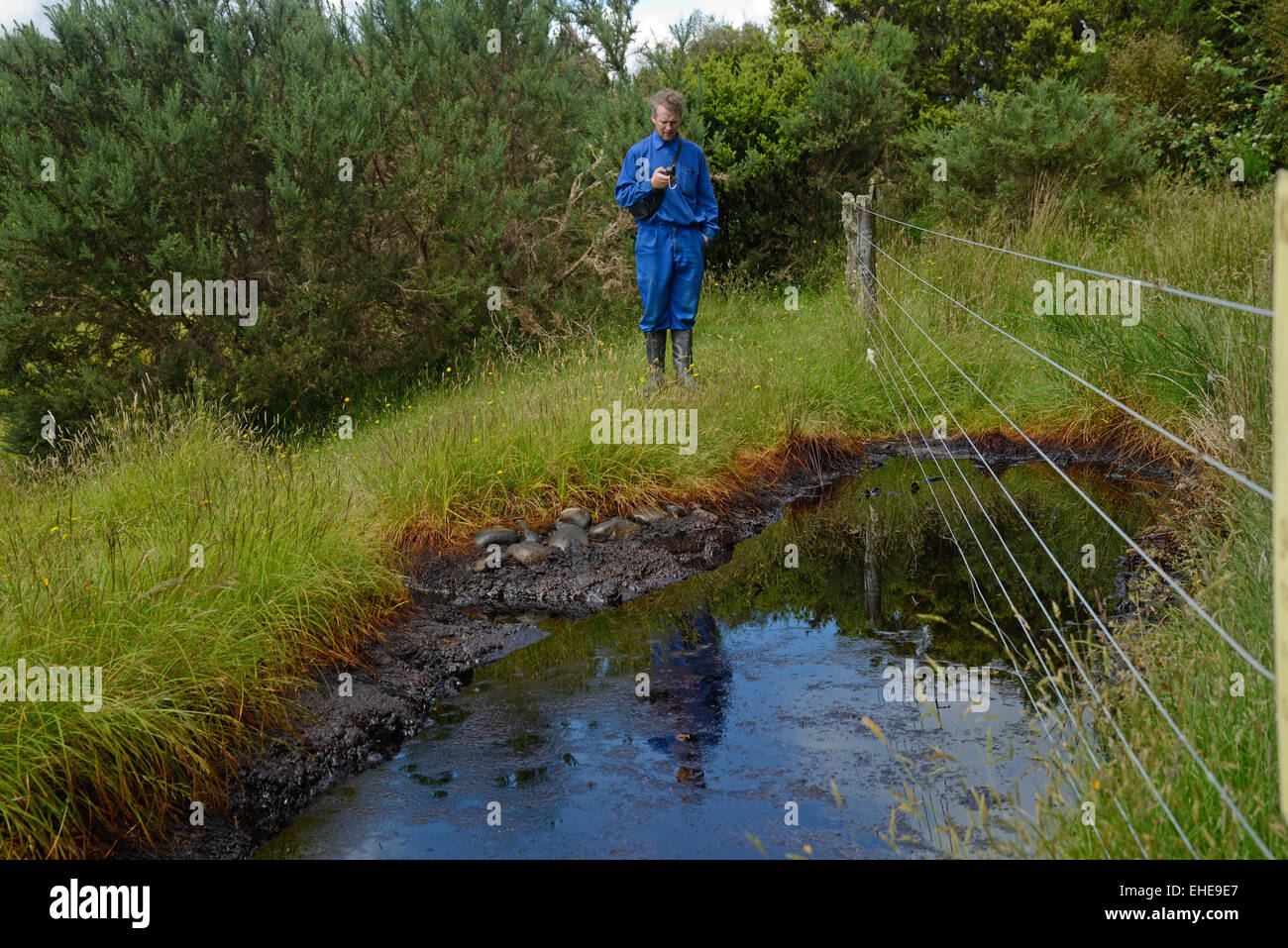 An oil prospector takes GPS readings at a natural oil seep Stock Photo