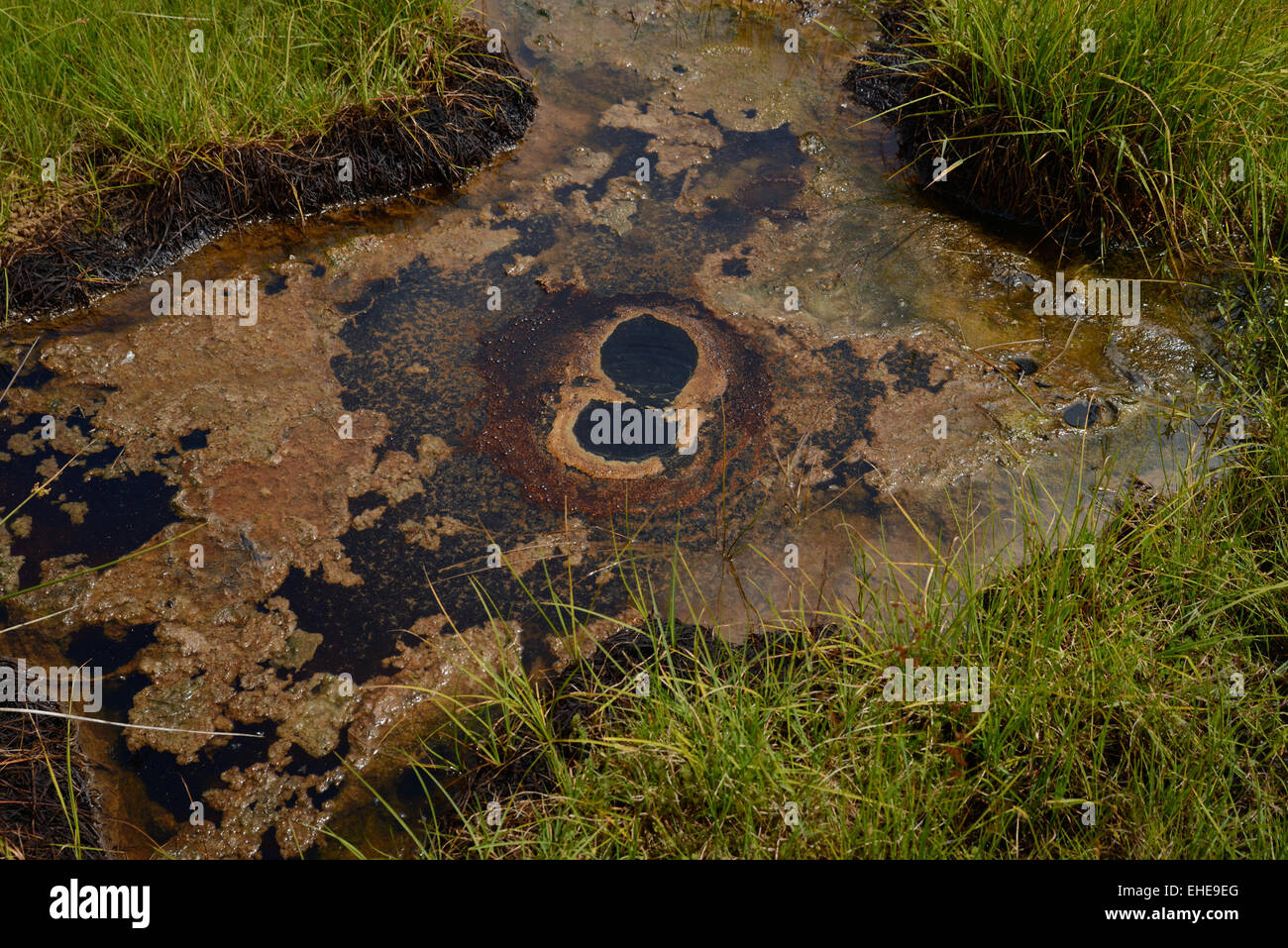 Natural Gas most Likely CO2 Bubbles From A Seep At Kotuku New Zealand Stock Photo Alamy