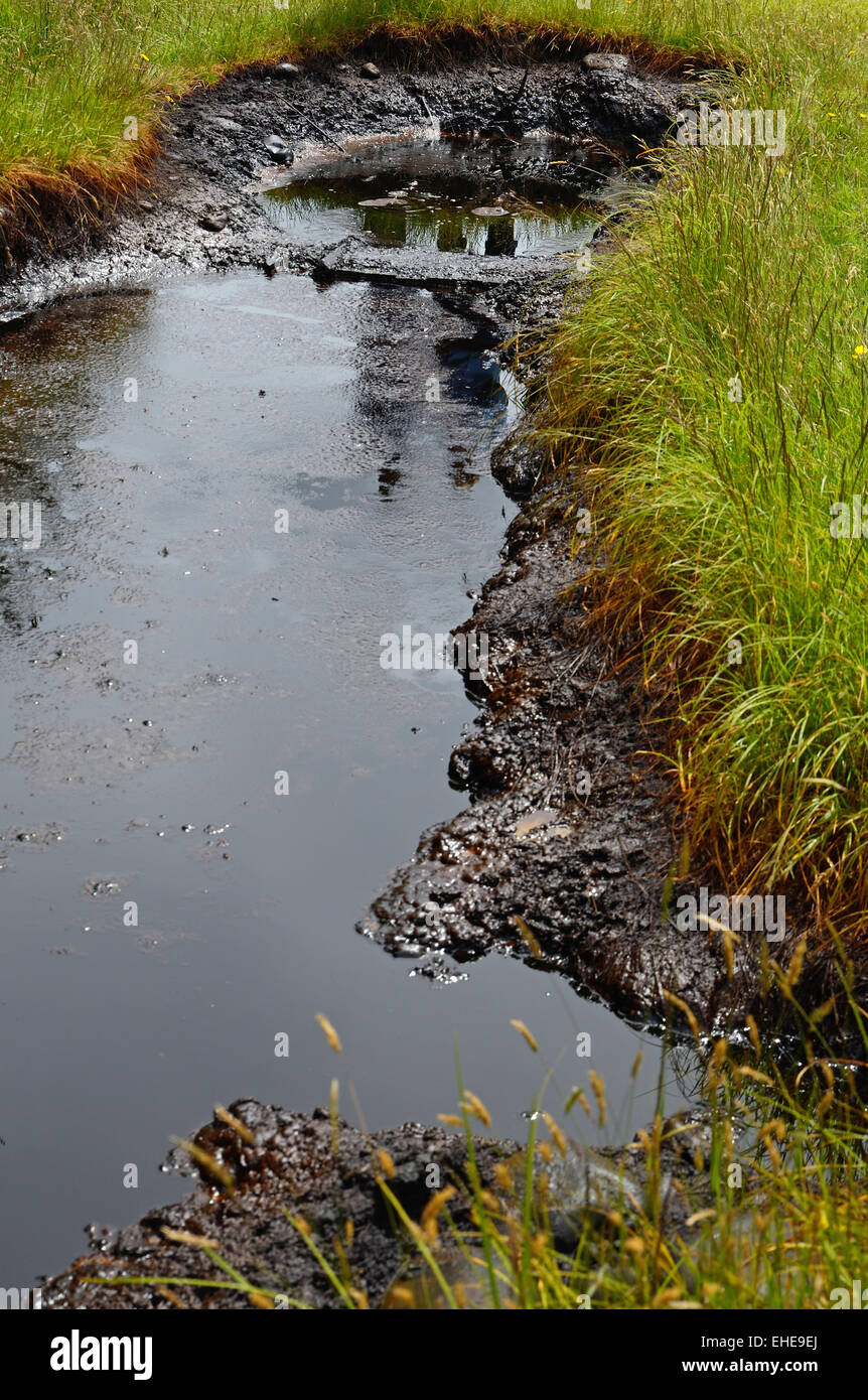 Light crude oil bubbles from the ground at a natural oil seep at Kotuku