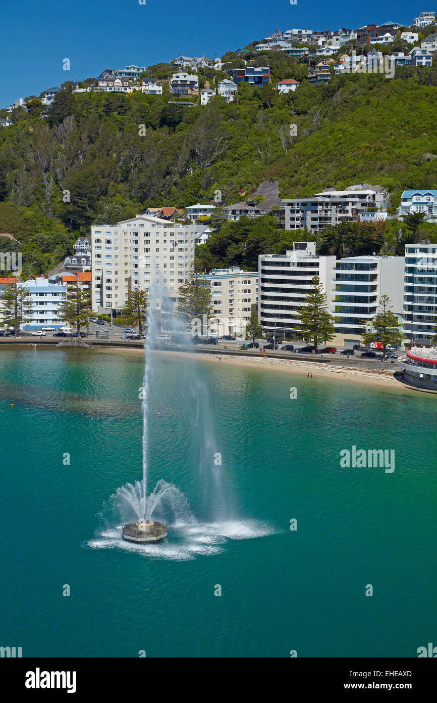 Fountain, Oriental Bay, and Mt Victoria, Wellington, North Island, New Zealand - aerial Stock Photo