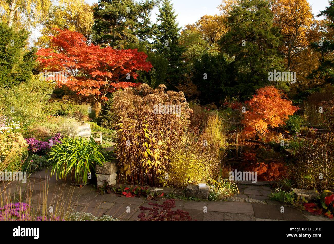 Karl Foerster Shrub Garden Stock Photo Alamy