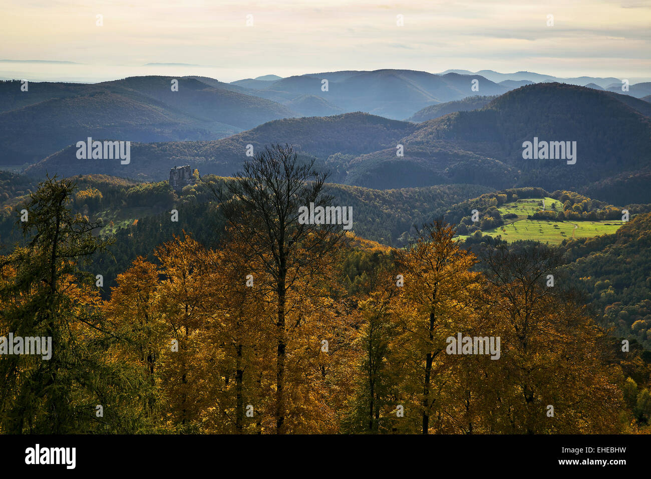 Ruins Fleckenstein, Lembach, Alsace, France Stock Photo