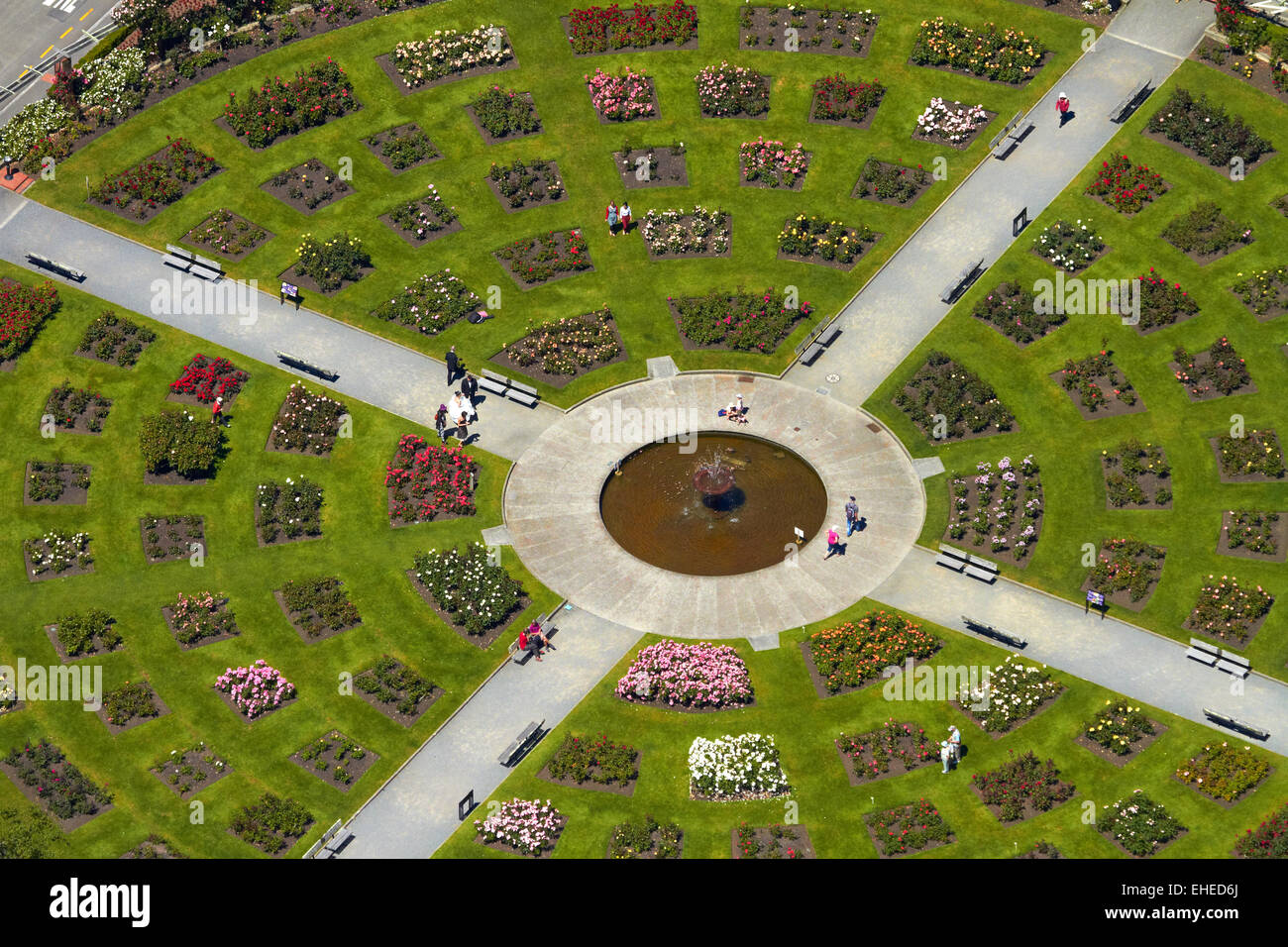 Lady Norwood Rose Garden, Wellington Botanic Garden, Wellington, North Island, New Zealand - aerial Stock Photo