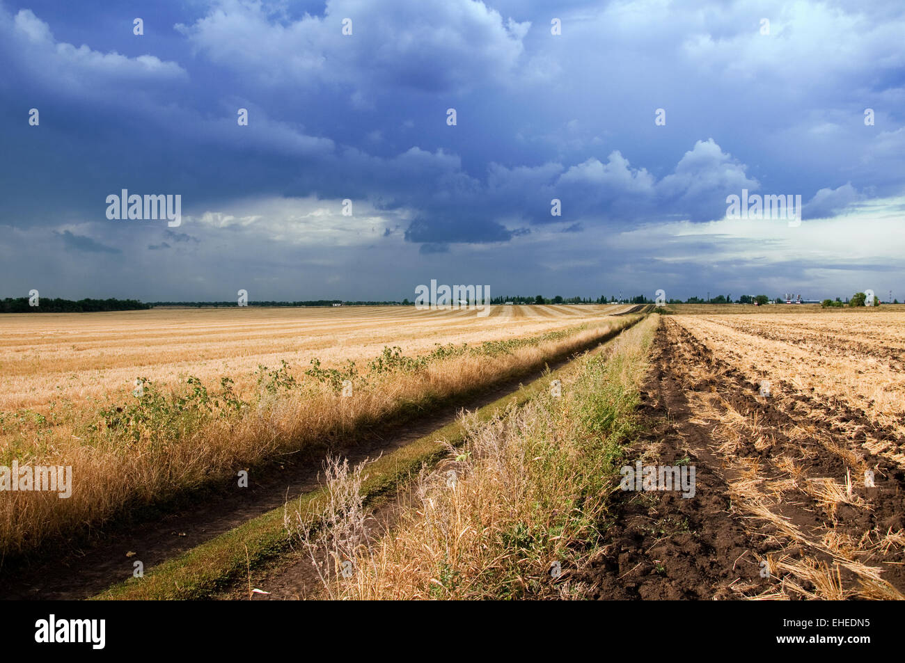 field and stormy skies Stock Photo