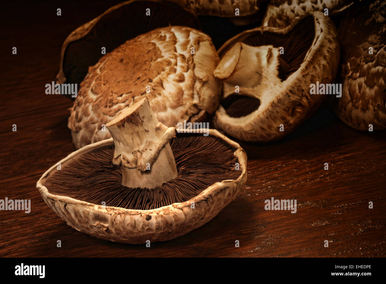 Large portobello mushrooms hires stock photography and images Alamy