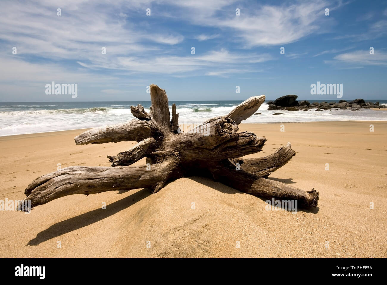 flotsam in mexico Stock Photo Alamy