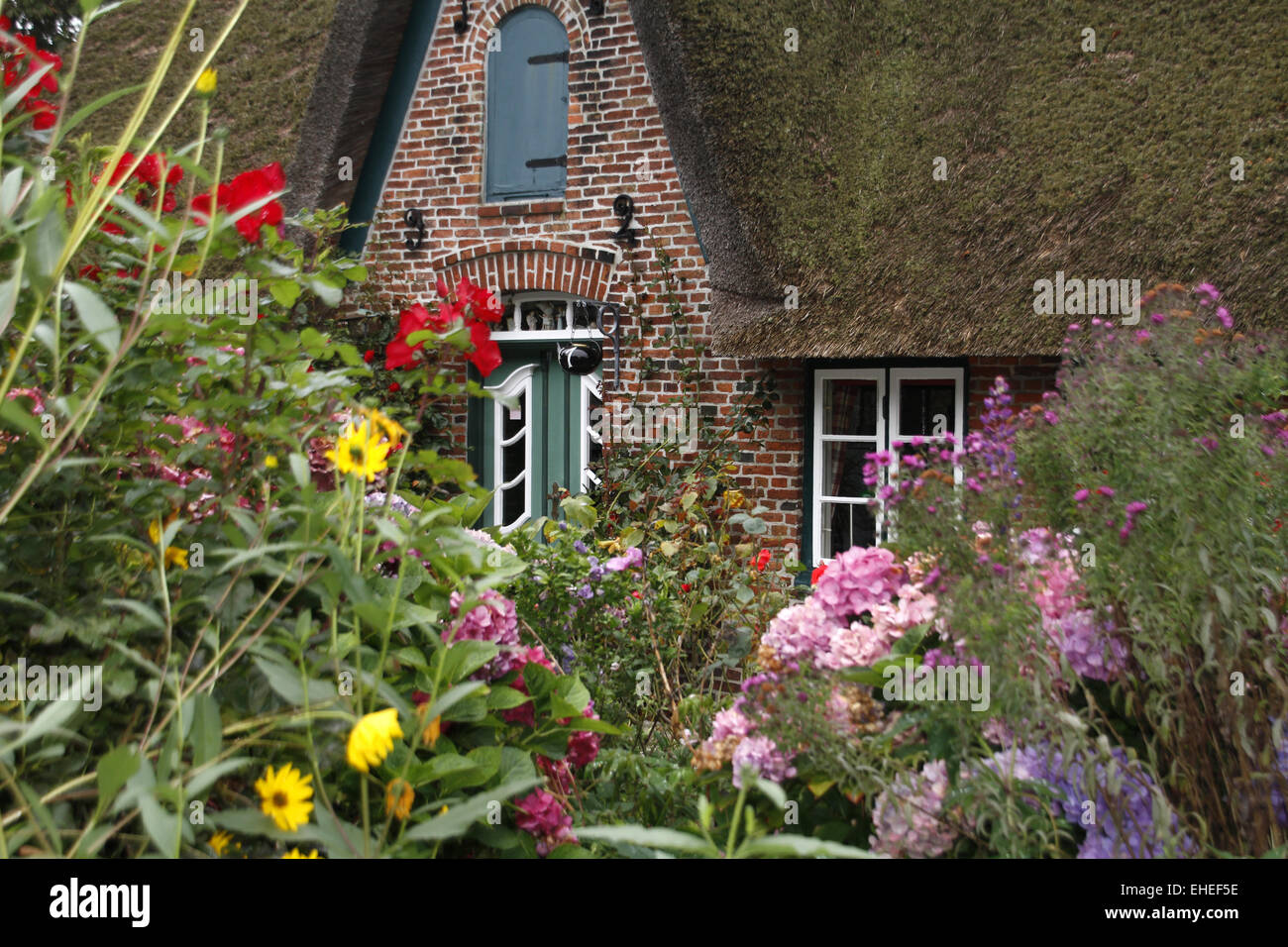 Colourful front garden hi-res stock photography and images - Alamy
