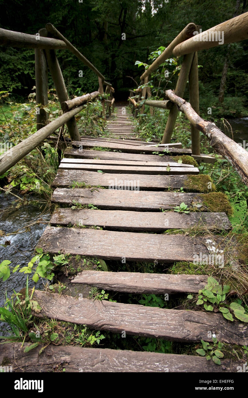 old bridge in the black forest Stock Photo