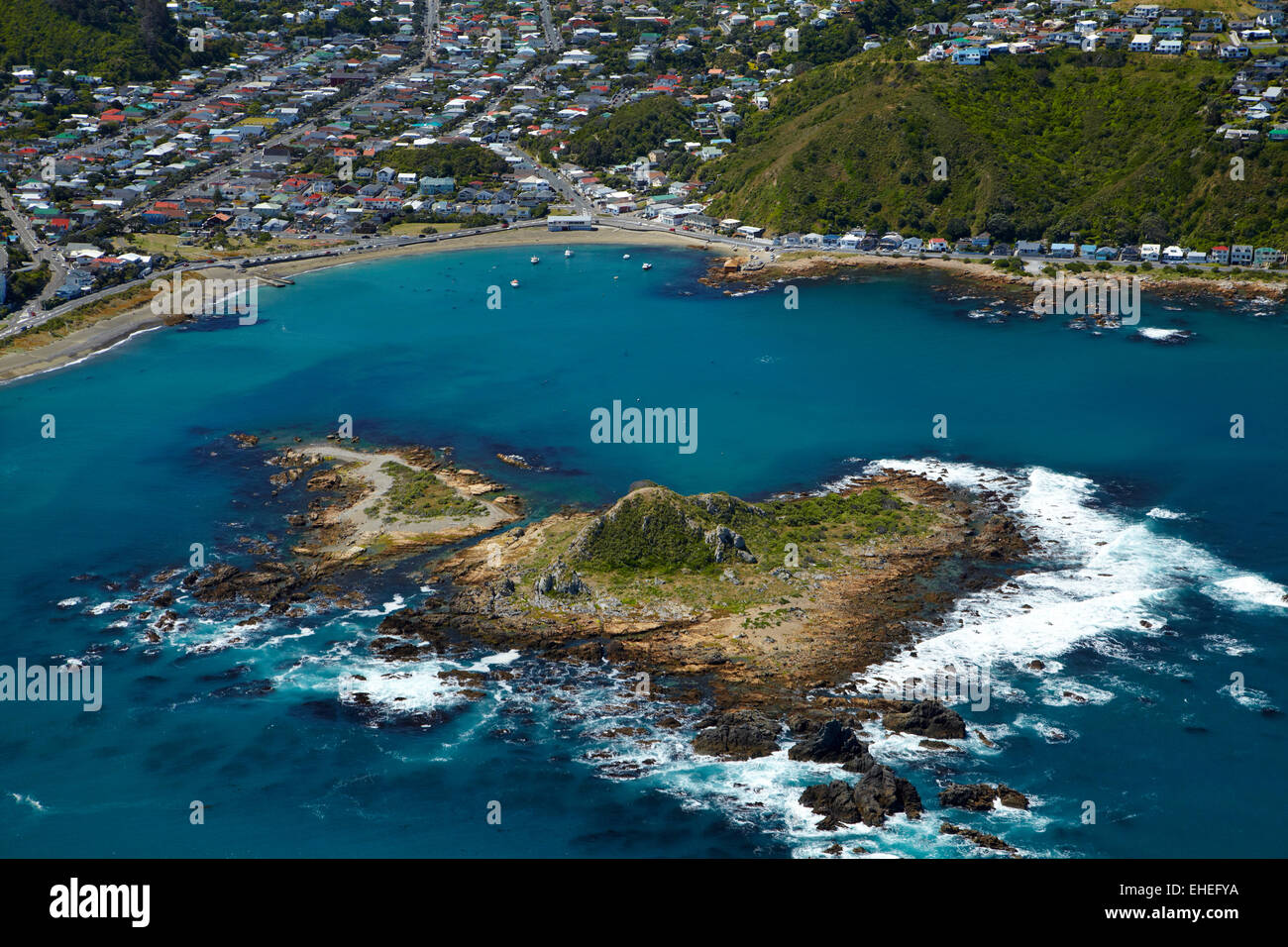 Island Bay and Tapu Te Ranga Island, Wellington, North Island, New Zealand - aerial Stock Photo