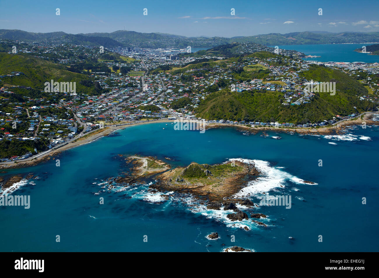 Island Bay and Tapu Te Ranga Island, Wellington, North Island, New Zealand - aerial Stock Photo