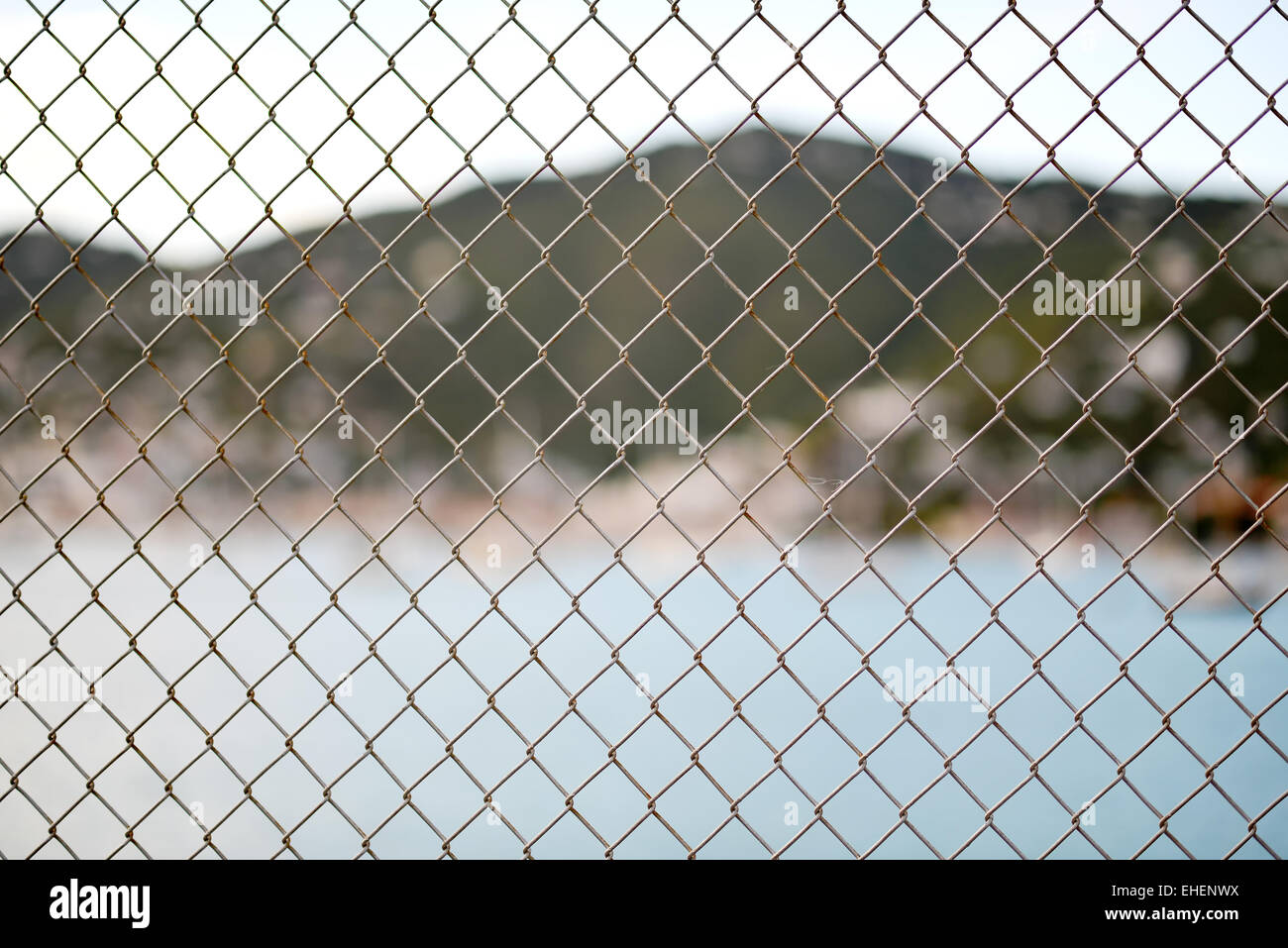 Metal mesh wire fence Stock Photo