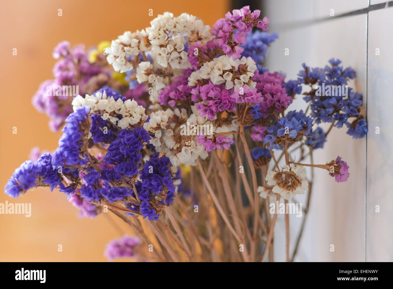 Colorful dry flowes on kitchen in a cold day Stock Photo