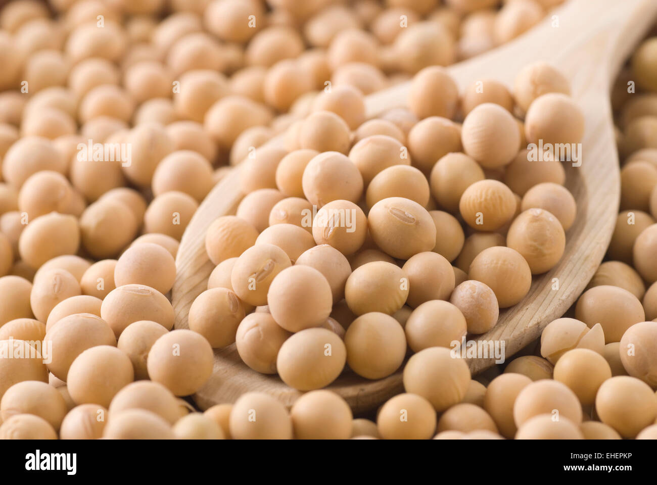 Dried soy beans in a wooden spoon. Stock Photo