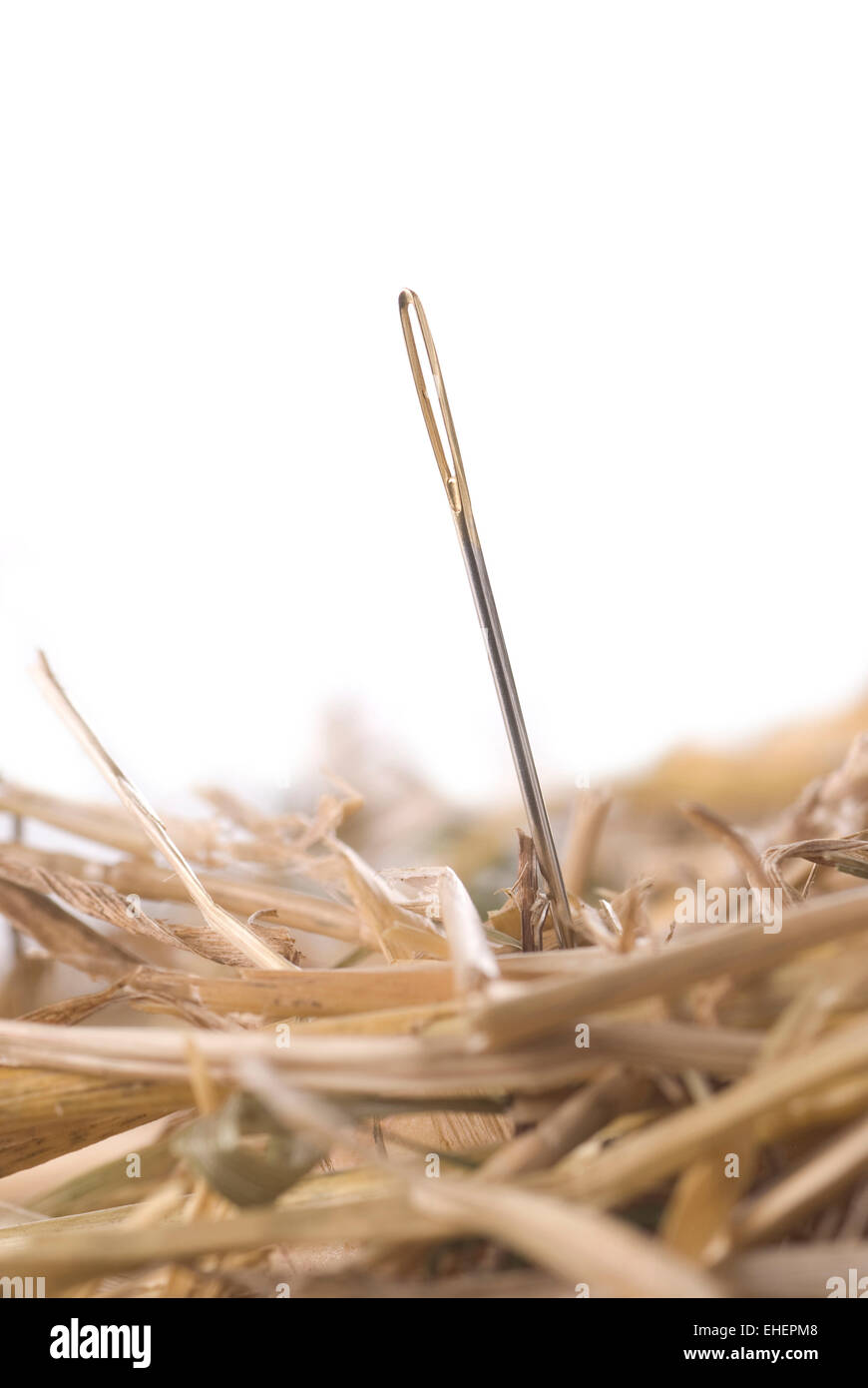 A needle in a haystack on white background. Stock Photo
