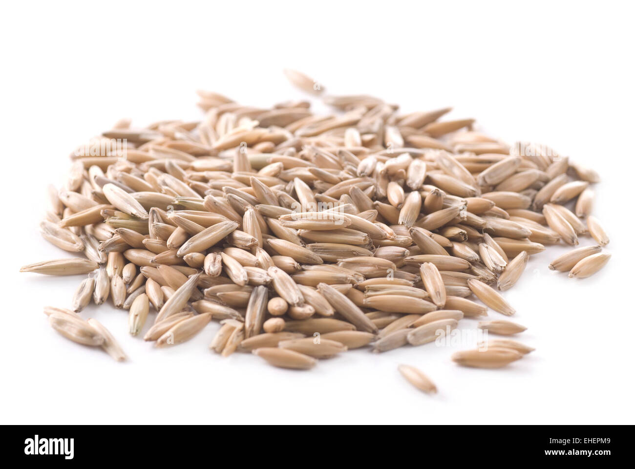 Oat seeds hires stock photography and images Alamy
