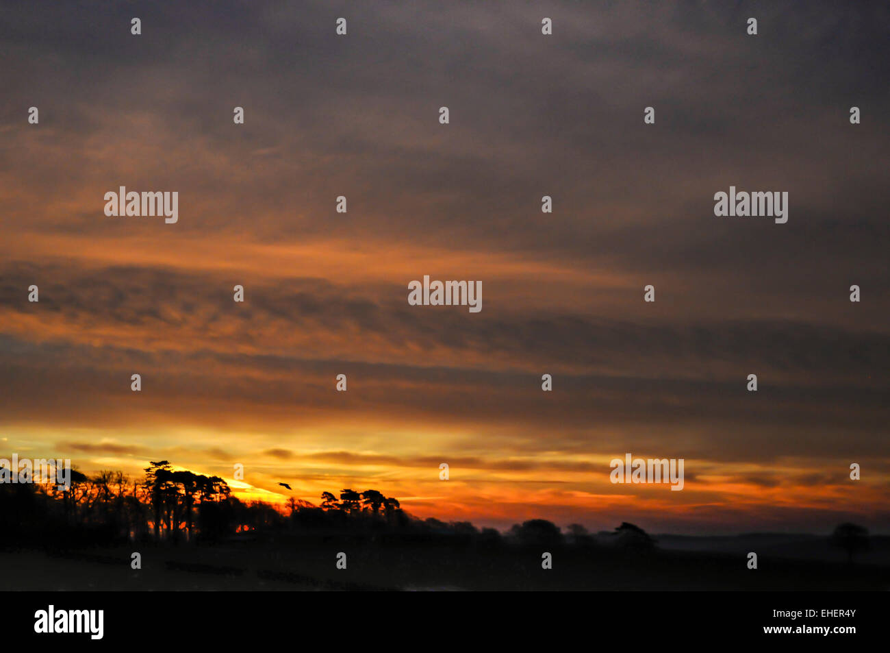 Heathfield, East Sussex, UK.13 March 2015.Amazing colors in the sky at Dawn over the East Sussex Countryside. Credit:  David Burr/Alamy Live News Stock Photo